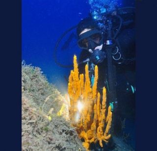  Buceo en seco Sardinia sud 